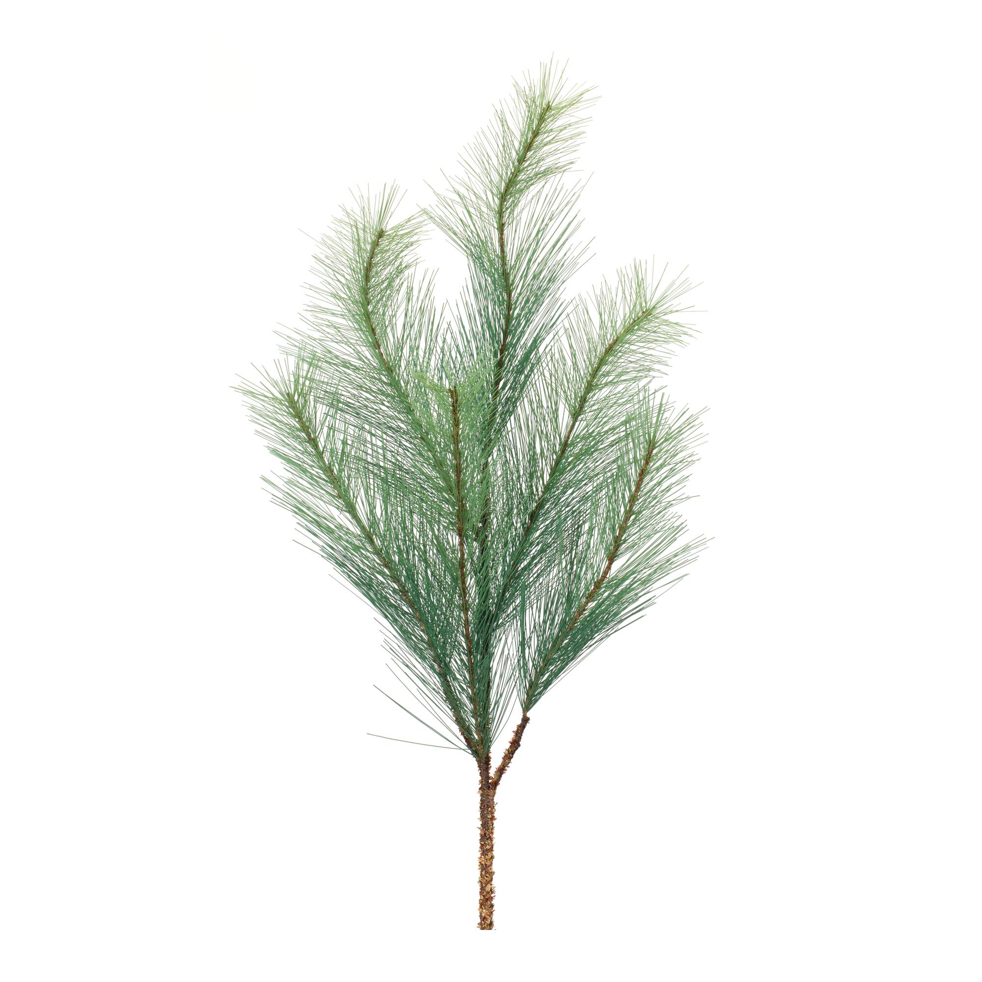 Long Needle Pine Spray, 6ct.